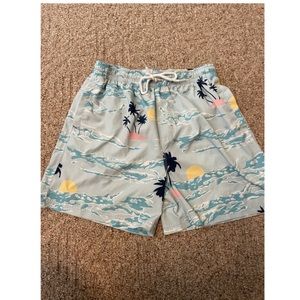 Southern Proper Swim Trunks